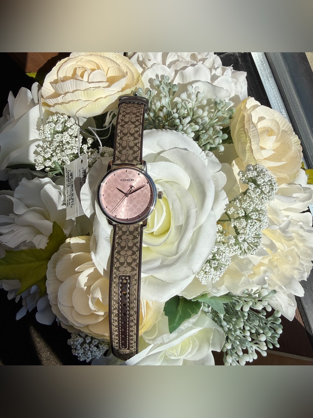 Coach women watch 14503873